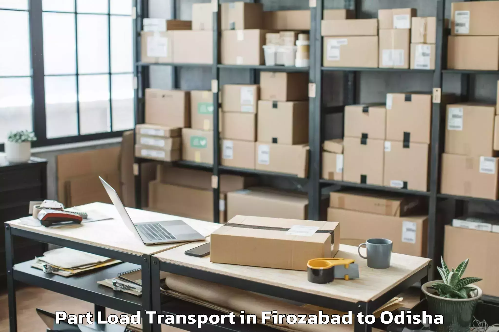 Professional Firozabad to Behrampur Part Load Transport